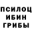 Галлюциногенные грибы мицелий jawolle meister