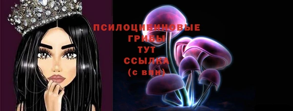 a pvp Каменск-Шахтинский