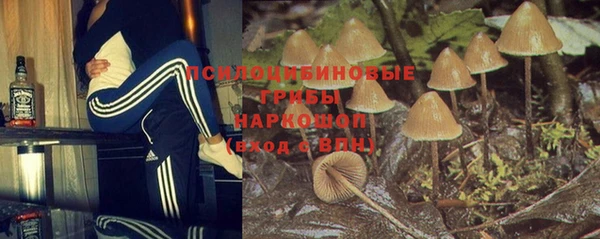a pvp Каменск-Шахтинский