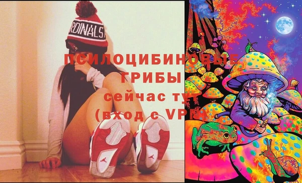 марки nbome Каменногорск