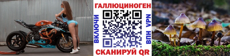 Галлюциногенные грибы MAGIC MUSHROOMS  Купить где  Гуково 