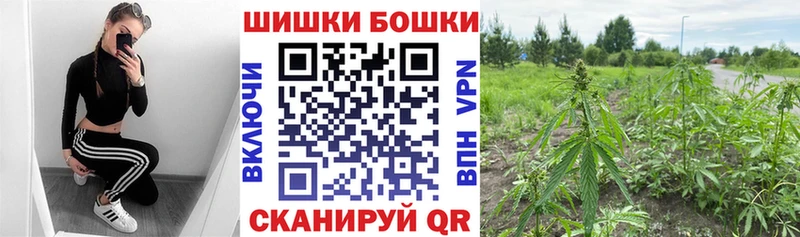 Каннабис ГИДРОПОН  Купить где  Гуково 